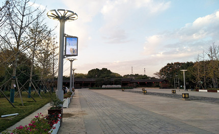 在這綠樹成蔭的公園里，我是一棵特別的“樹”